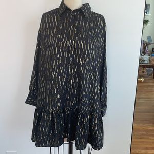 Zara button up mini dress